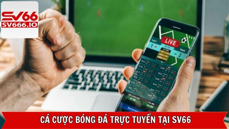 SV66 - Website cá độ bóng đá trực tuyến uy tín