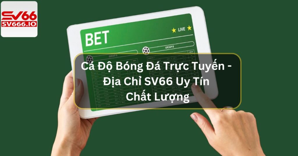 Cá Độ Bóng Đá Trực Tuyến - Địa Chỉ SV66 Uy Tín Chất Lượng 1 Cá Độ Bóng Đá Trực Tuyến - Địa Chỉ SV66 Uy Tín Chất Lượng
