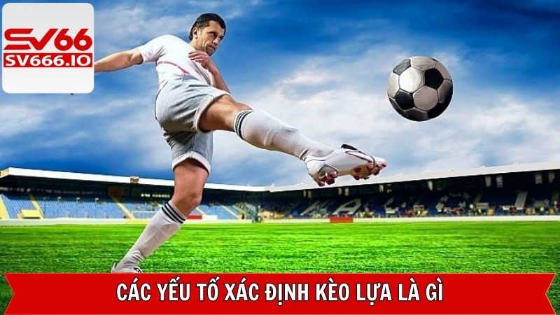 Các yếu tố ảnh hưởng đến kèo lựa là gì