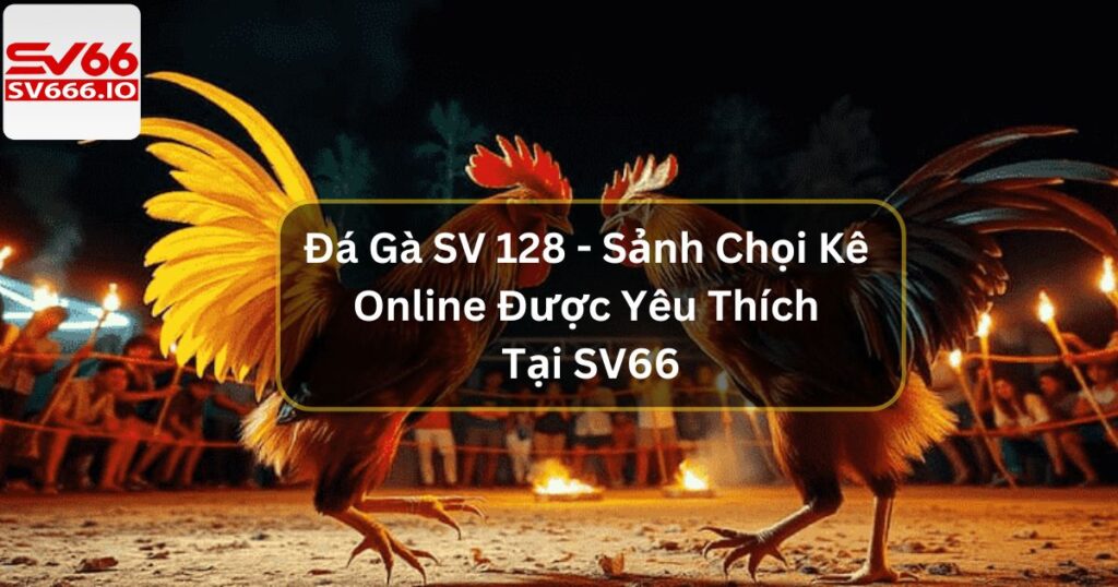 Đá Gà SV 128 - Sảnh Chọi Kê Online Được Yêu Thích Tại SV66