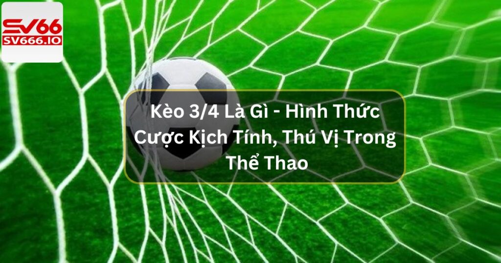 Kèo 3/4 Là Gì - Hình Thức Cược Kịch Tính, Thú Vị Trong Thể Thao 6 Kèo 3/4 Là Gì - Hình Thức Cược Kịch Tính Trong Thể Thao
