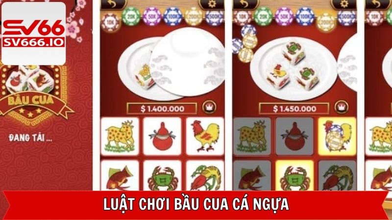 Khám phá quy tắc chung trong bầu cua cá ngựa