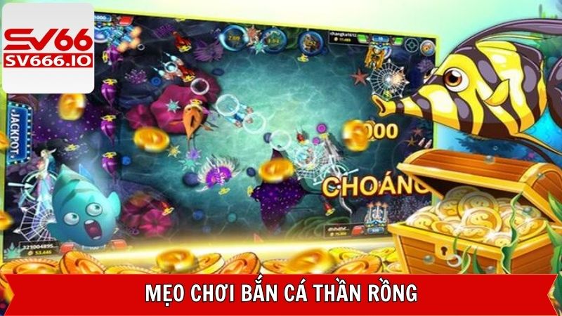 Kinh nghiệm săn cá bách phát bách trúng chuẩn cao thủ