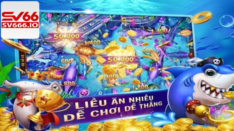 Bí kíp chinh phục săn cá Vua Hải Tặc đỉnh cao