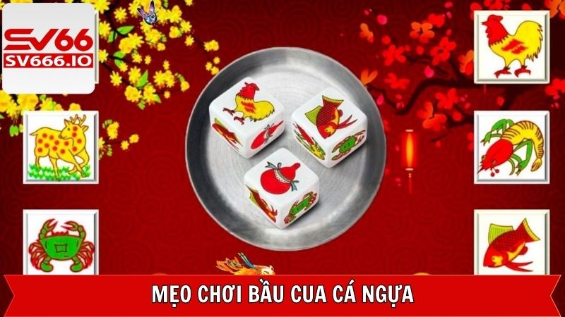Bỏ túi mẹo luôn thắng khi tham gia bầu cua cá ngựa