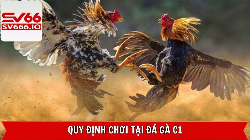 Những quy định cơ bản của đấu trường C1