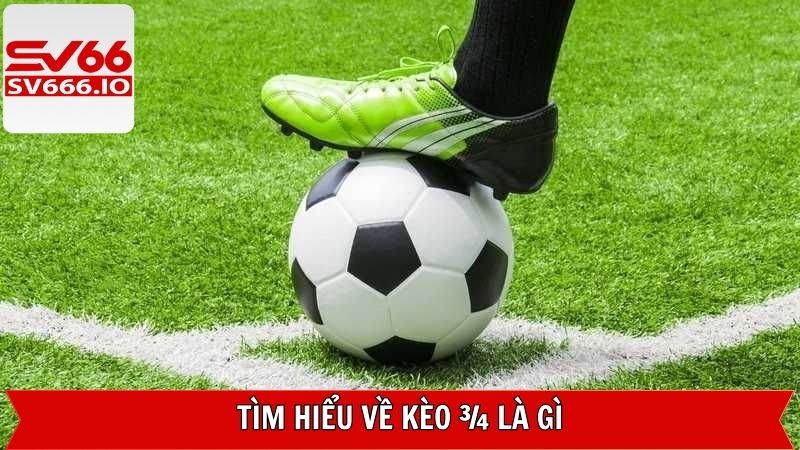 Kèo 3/4 Là Gì - Hình Thức Cược Kịch Tính, Thú Vị Trong Thể Thao 2 Đôi nét về tỷ lệ cược chấp thú vị tại SV66