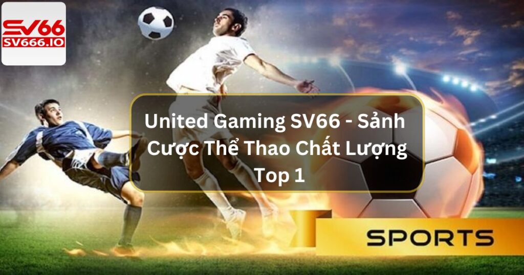 United Gaming SV66 - Sảnh Cược Thể Thao Chất Lượng Top 1 2 United Gaming SV66 - Sảnh Cược Thể Thao Chất Lượng Top 1